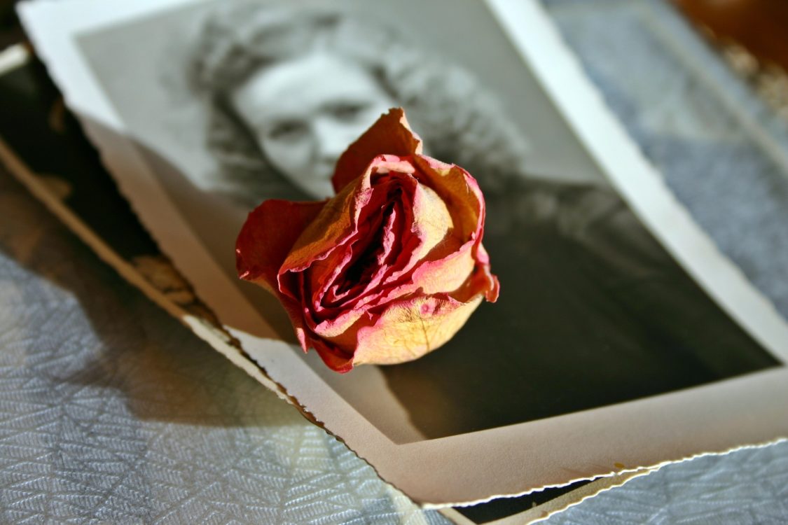 Erinnerung, altes Foto & Rose