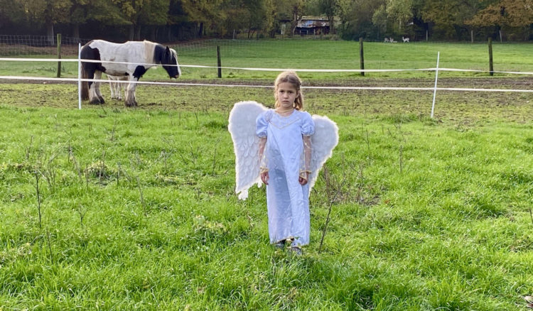 Engel auf Wiese mit Pferd