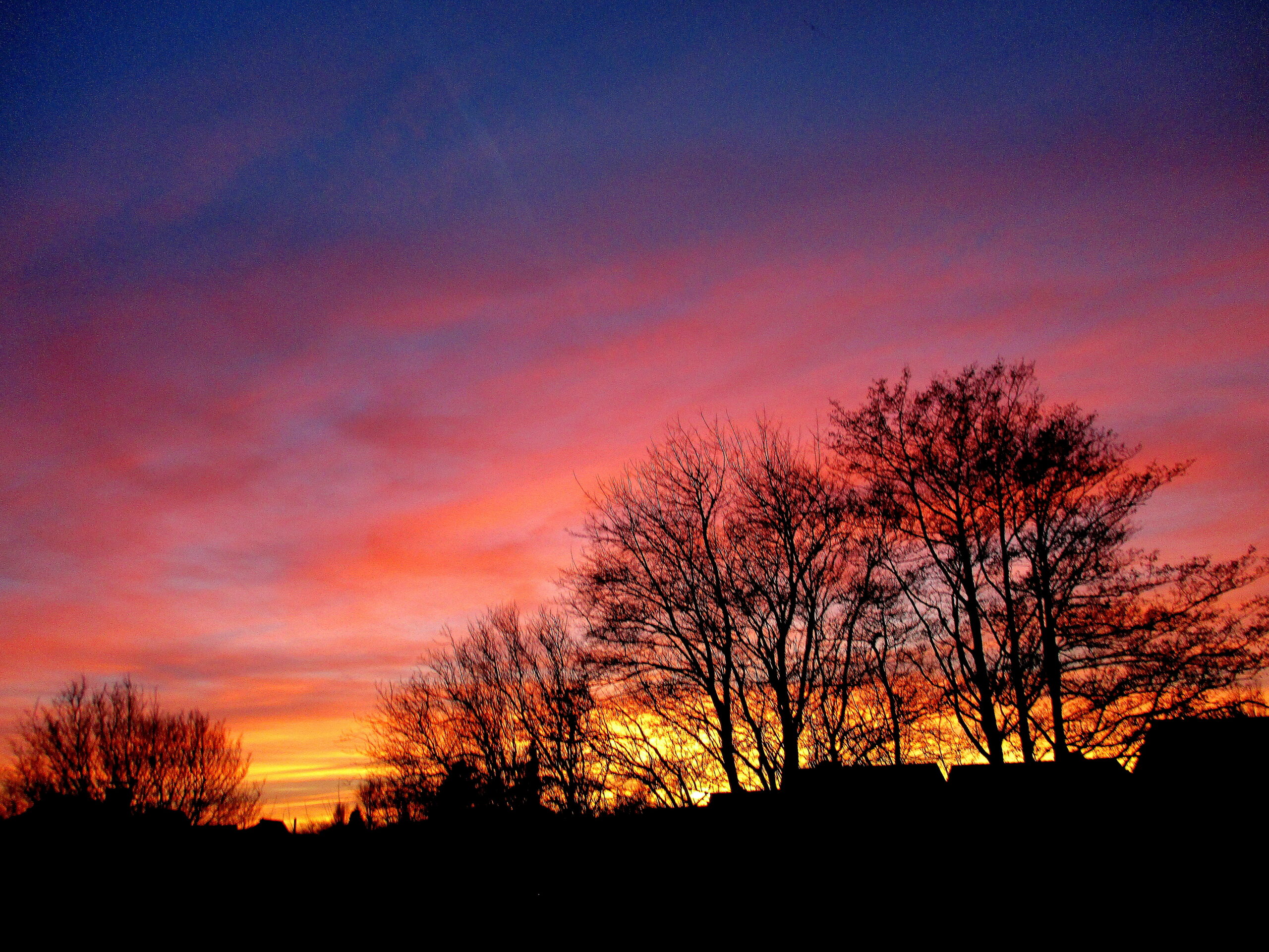 Du betrachtest gerade Andacht am 30.11.25 um 11 Uhr in der Erlöserkirche