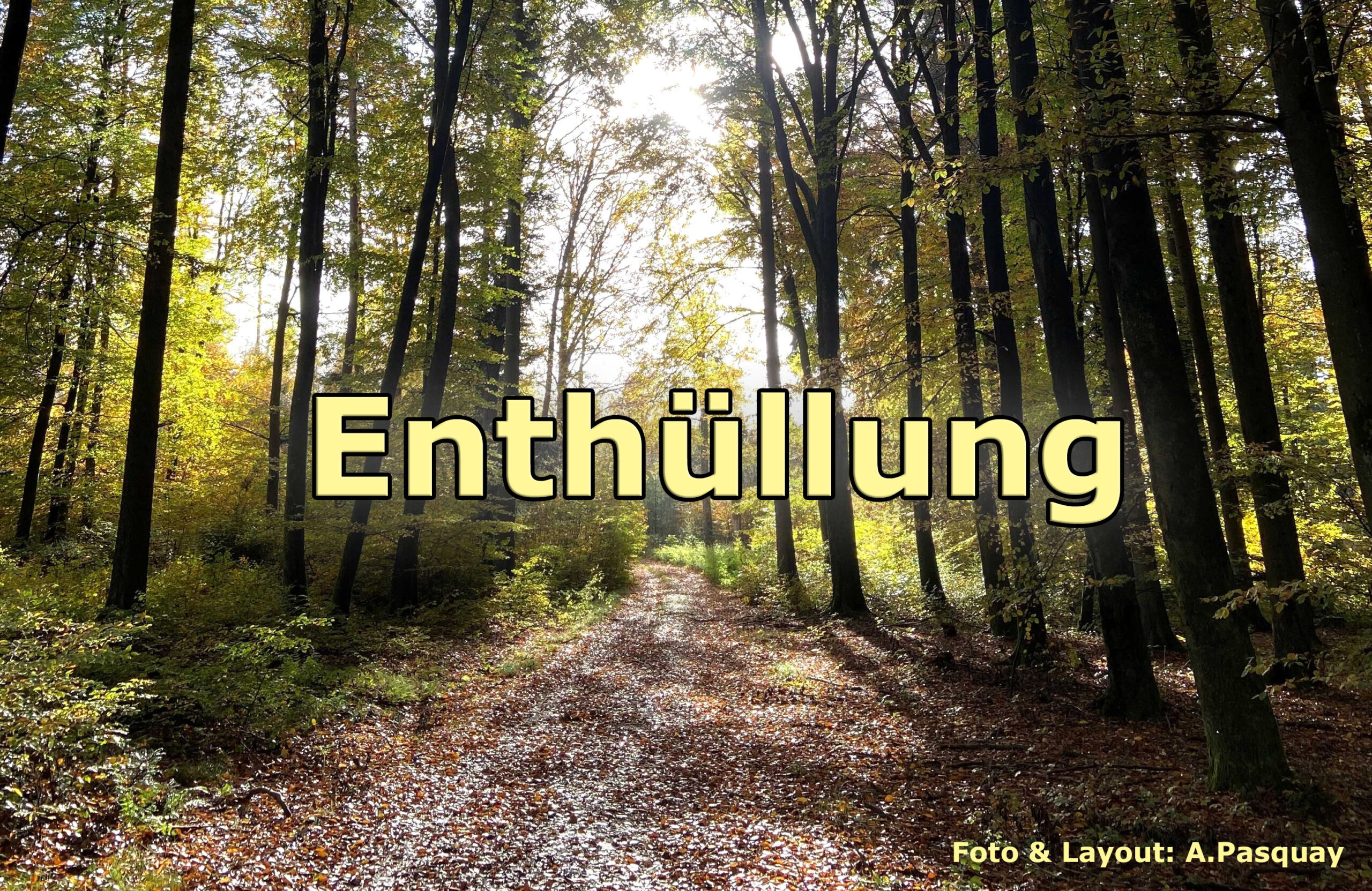 Du betrachtest gerade Abendmahlsgottesdienst am 1.02.26 um 10.00 Uhr in der Reformationskirche