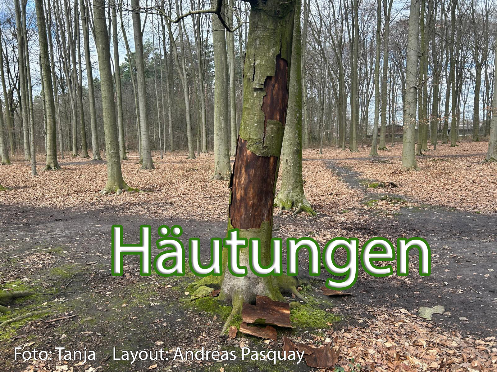 Du betrachtest gerade Abendmahlsgottesdienst an Karfreitag den, 3.4.26 um 11.00 Uhr in der Friedenskirche