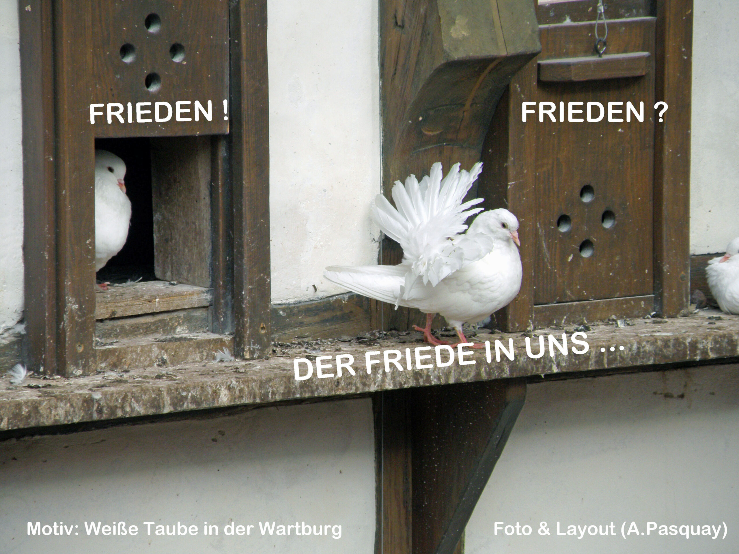 Du betrachtest gerade Abendgottesdienst mit Abendmahl am 27.6.26 19 Uhr Friedenskirche